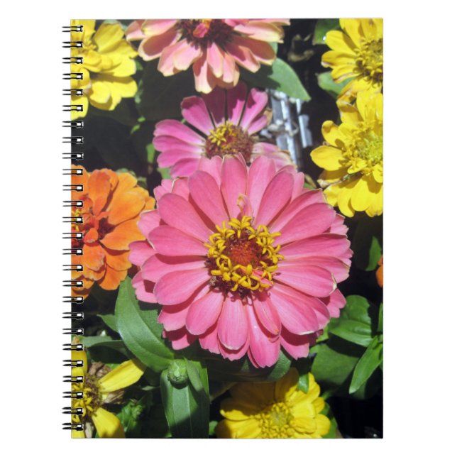 Carnet photo coloré (Devant)