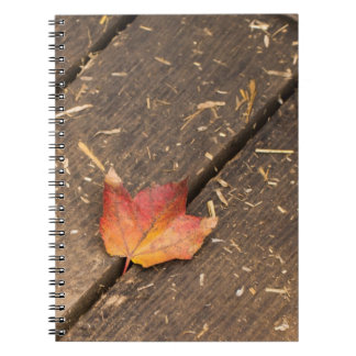 Carnet photo d'automne minimaliste de la feuille d'érable