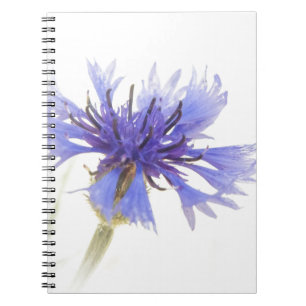 Carnet Photo de Cornflower bleu -