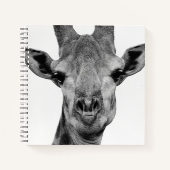 Carnet Photo de girafe noir et blanc (Devant)