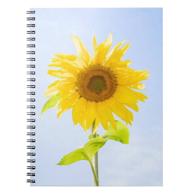 Carnet Photo de la nature des tourntournesols (Devant)