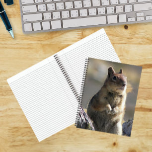 Carnet Photo de la nature d'un écureuil suppliant