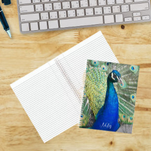 Carnet Photo de plumes de paon bleu magnifique