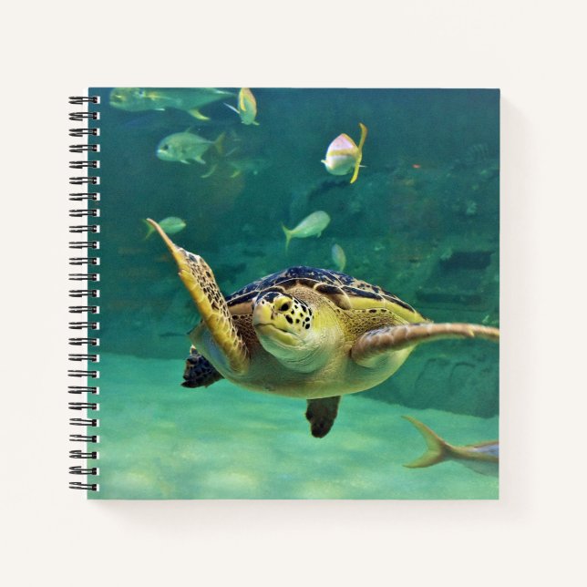 Carnet Photo de poisson d'eau de mer de la tortue (Devant)