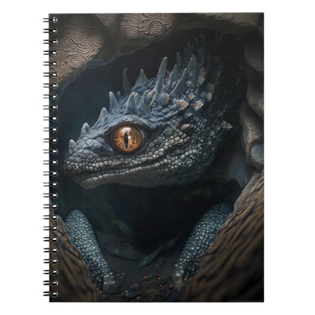 Carnet photo Dragon Spiral (Devant)