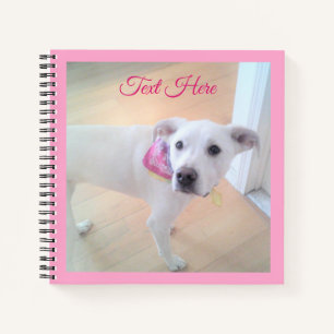 Carnet Photo d'un visage de chiot blanc doux mignon rose
