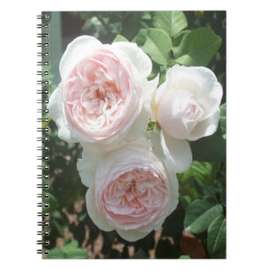 Carnet photo en Rose rose clair