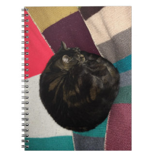 Carnet photo en spirale