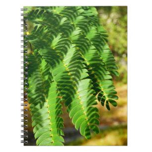 Carnet photo Feuille de l'Arbre de Soie Perse