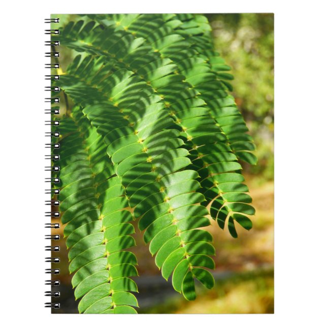 Carnet photo Feuille de l'Arbre de Soie Perse (Devant)