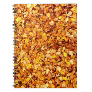 Carnet photo Feuilles d'automne