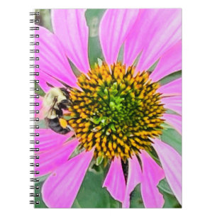 Carnet Photo Fleur de la Nouvelle-Angleterre