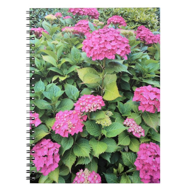 Carnet photo Fleurs roses (Devant)