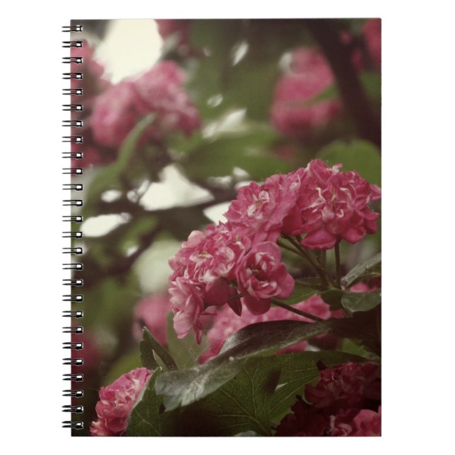 Carnet photo Fleurs roses (80 Pages B&W) (Devant)