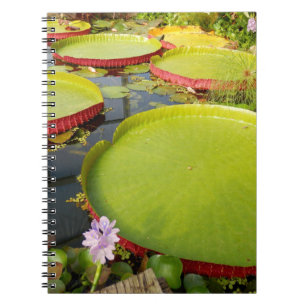 Carnet photo Lily Pads