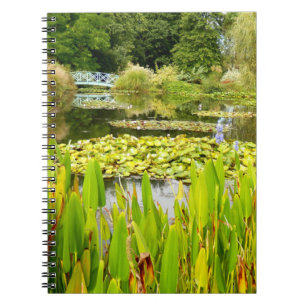 Carnet photo Lily Pond