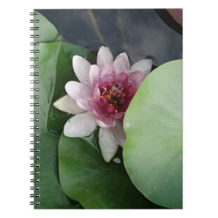 Carnet photo Lotus Flower