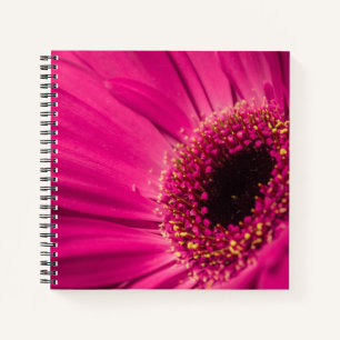 Carnet Photo, macro