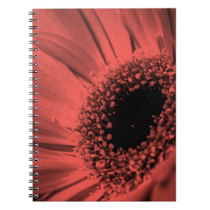 Carnet Photo, macro