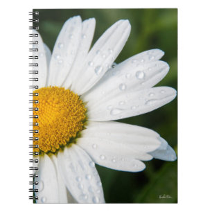 carnet photo marguerite
