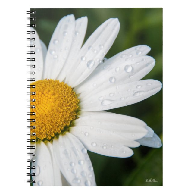 carnet photo marguerite notebook (Front)