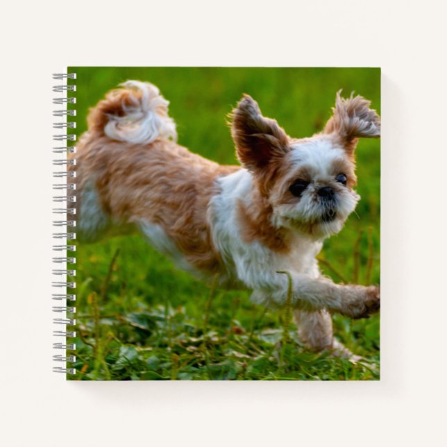 Carnet Photo mignonne tournant Chien Shih Tzu (Devant)