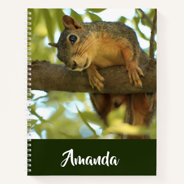 Carnet Photo nature d'écureuil mignonne et curieuse (Devant)
