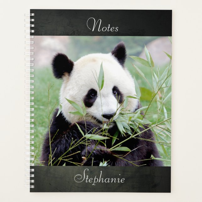 Carnet Photo panda géant, animaux 02. carnet (Devant)