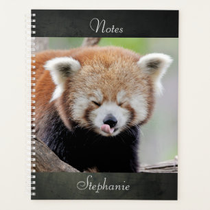 carnet Photo panda rouge, animaux 03. carnet