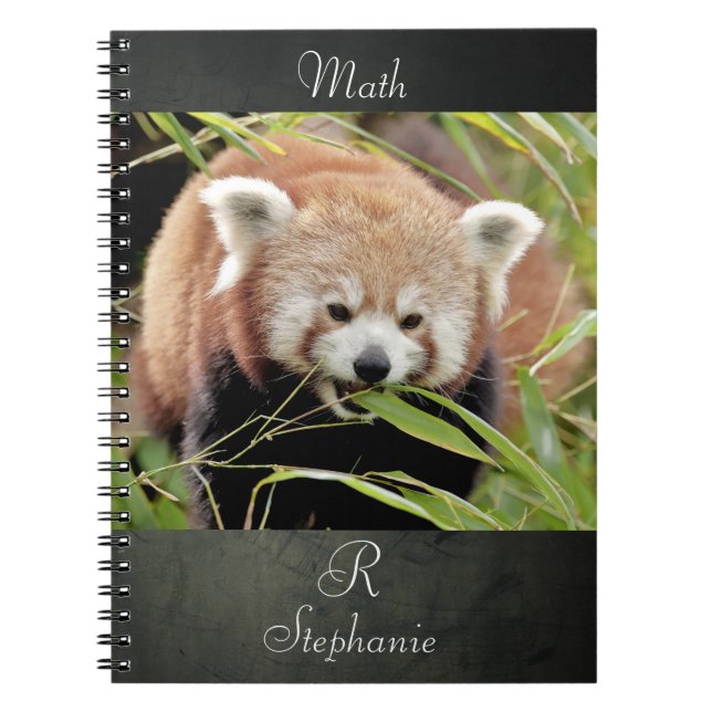 Carnet Photo panda rouge, animaux 0443. (Devant)