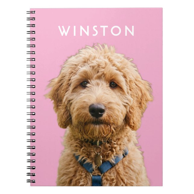 Carnet Photo personnalisée avec nom de chien - LIRE LA DE (Devant)