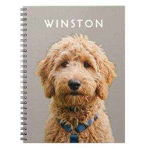 Carnet Photo personnalisée avec nom de chien - LIRE LA DE