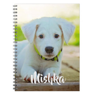 Carnet Photo personnalisée personnalisée pour animal de c
