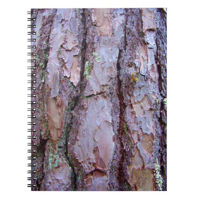 Carnet photo Pine Tree Bark (Devant)