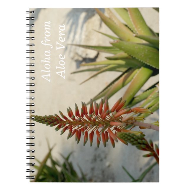 Carnet photo Plante Aloha Aloe Vera (Devant)