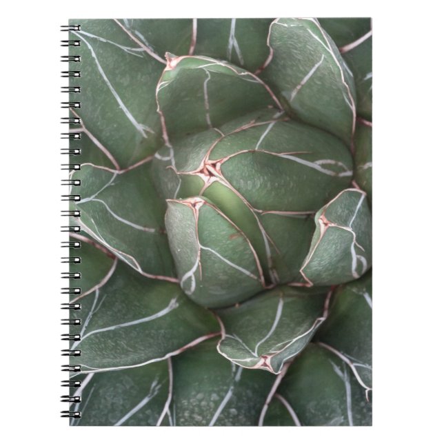 Carnet Photo Plante Succulent (80 Pages B&W) (Devant)