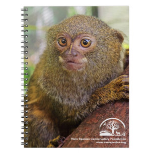 Carnet photo Spiral