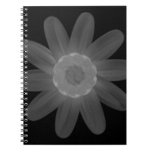 Carnet photo Spiral
