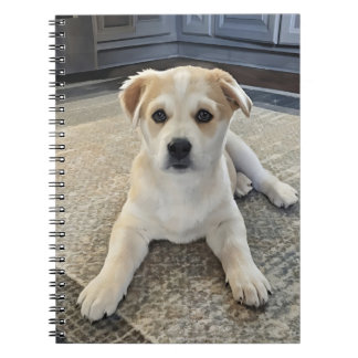 Carnet photo Spirale avec surcharge de chiot
