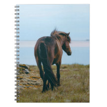 Carnet photo spirale - Cheval Pittoresque