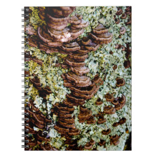 Carnet photo spirale de champignons verts et Brown
