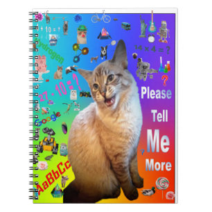 Carnet photo spirale Ragdoll Chat