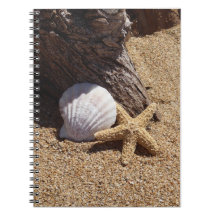 Carnet photo Starfish et Sand Spiral