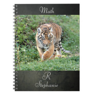 carnet Photo tiger, animaux.