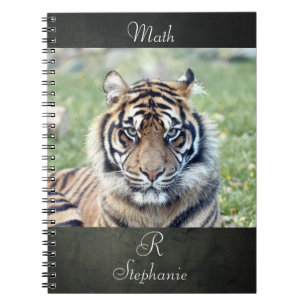 Carnet photo tiger, animaux 0255.