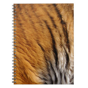 Carnet Photo Tiger Stripes Big Cat Wildlife