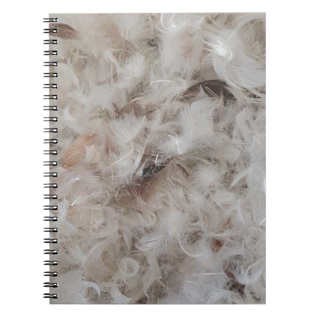 Carnet Photographe de Funny (Devant)