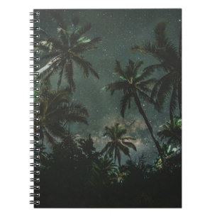 CARNET PHOTOGRAPHIE À FAIBLE ANGLE D'UN COCOTIER AVEC ÉTO