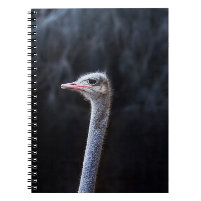 Carnet Photographie d'autruche (Devant)