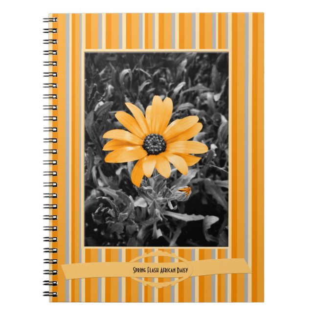 Carnet Photographie de marguerite africaine d'instantané (Devant)